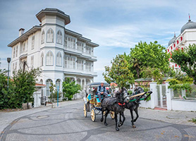 Full Day Princess Island Tour