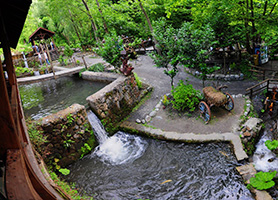 Full Day Sapanca & Masukiye Tour