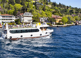 Half Day Bosphorus Cruise Tour
